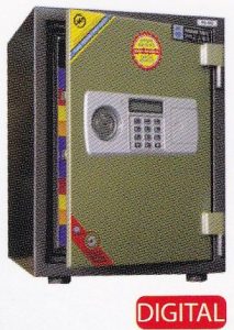 B.HANMI HS-49 Digital